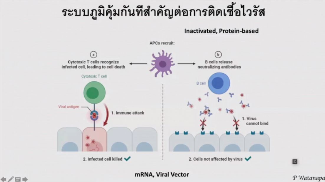 คณบดีศิริราช เผย จับคู่วัคซีนซิโนแวค-แอสต้าเซเนก้า งานวิจัยในตปท.รับรอง