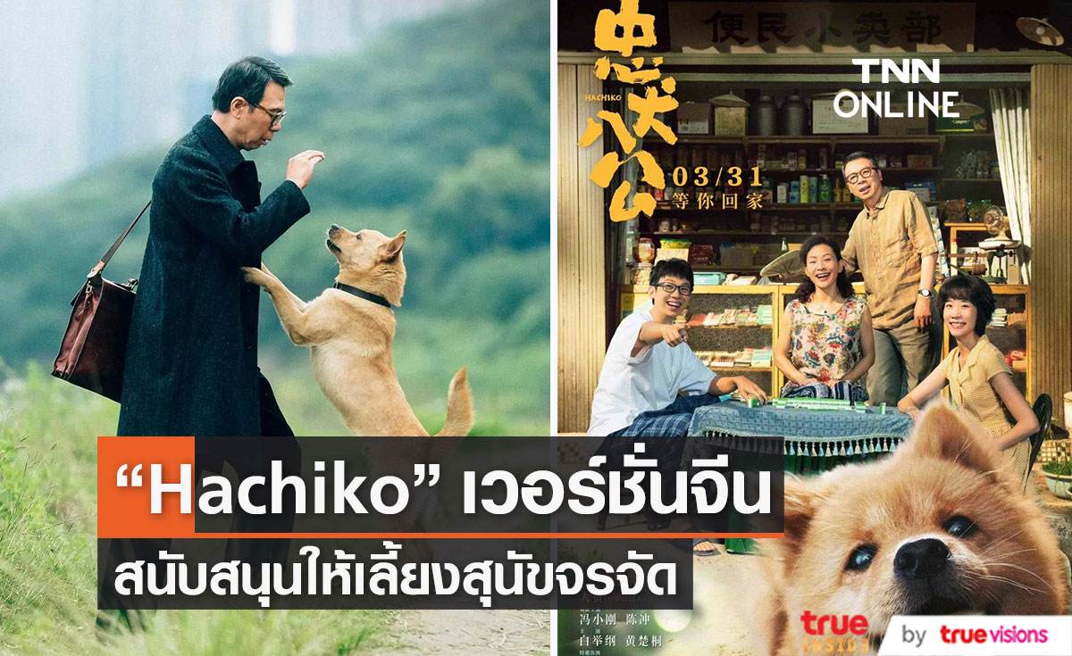 หนัง “Hachiko” เวอร์ชั่นจีน  สนับสนุนให้รับเลี้ยงสุนัขจรจัด 