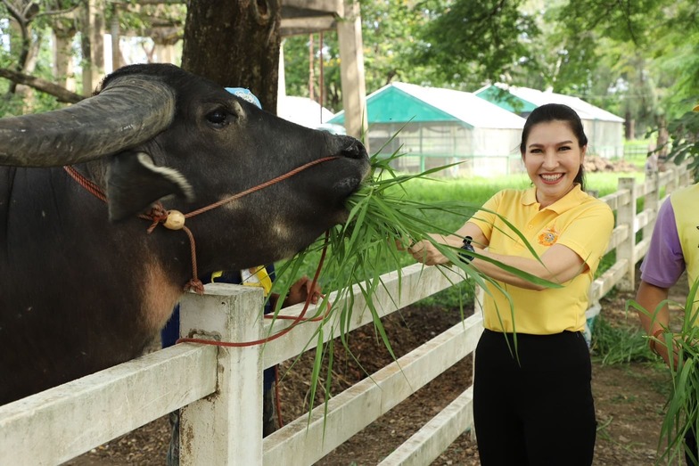 เครือเจริญโภคภัณฑ์ ส่งเสริมผู้บริหารและพนักงานเป็นจิตอาสาพระราชทานในหลวงรัชกาลที่ 10 เครือเจริญโภคภัณฑ์ ส่งเสริมผู้บริหารและพนักงานเป็นจิตอาสาพระราชทานในหลวงรัชกาลที่ 10