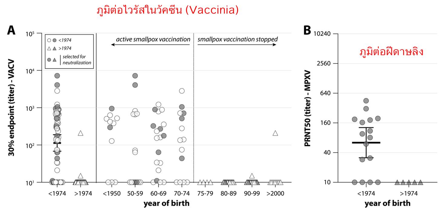 ภูมิคุ้มกันจากการปลูกฝีในอดีต ยังมีป้องกัน ฝีดาษลิง ได้อยู่หรือไม่?