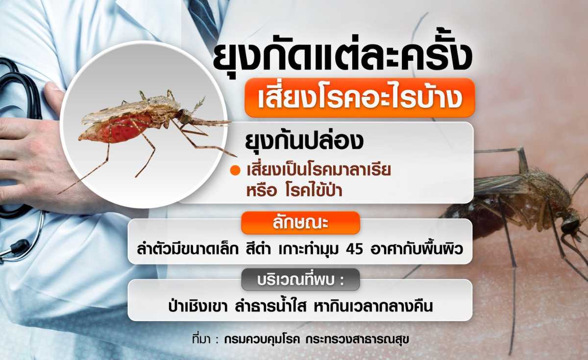 ยุงกัดแต่ละครั้ง เสี่ยงโรคอะไรบ้าง ยุงกัดแต่ละครั้ง เสี่ยงโรคอะไรบ้าง