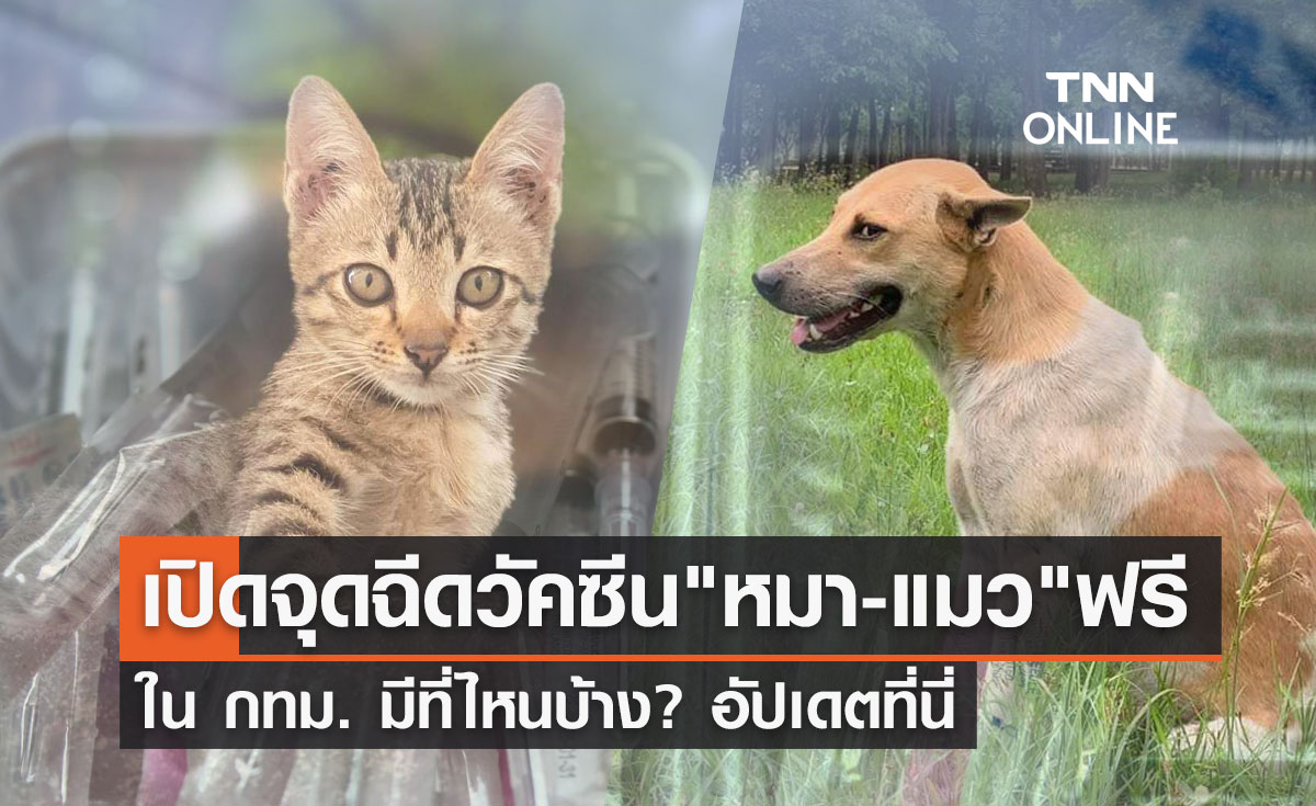 ฉีดฟรี! เปิดพิกัดฉีด "วัคซีนพิษสุนัขบ้า-ทำหมัน" ฟรี ในกทม.มีที่ไหนบ้าง