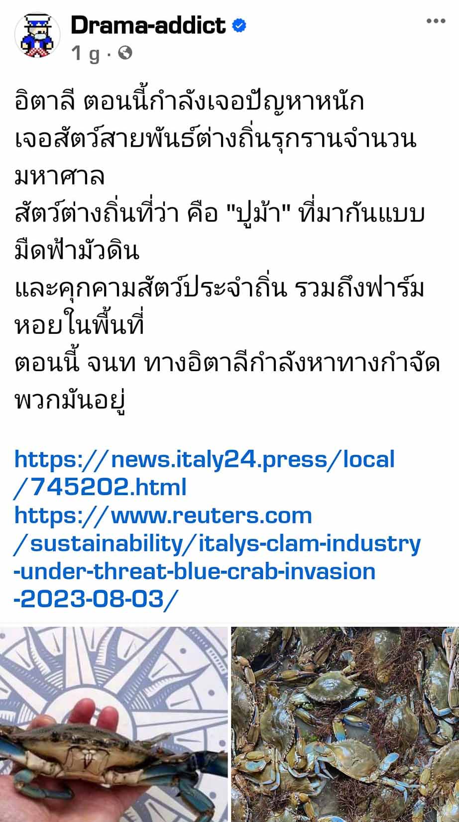 ปูม้าบุกอิตาลี! ไม่รอดคนไทยลองแล้ว เนื้อแน่น หวาน ไข่เต็มท้อง ปูม้าบุกอิตาลี! ไม่รอดคนไทยลองแล้ว เนื้อแน่น หวาน ไข่เต็มท้อง