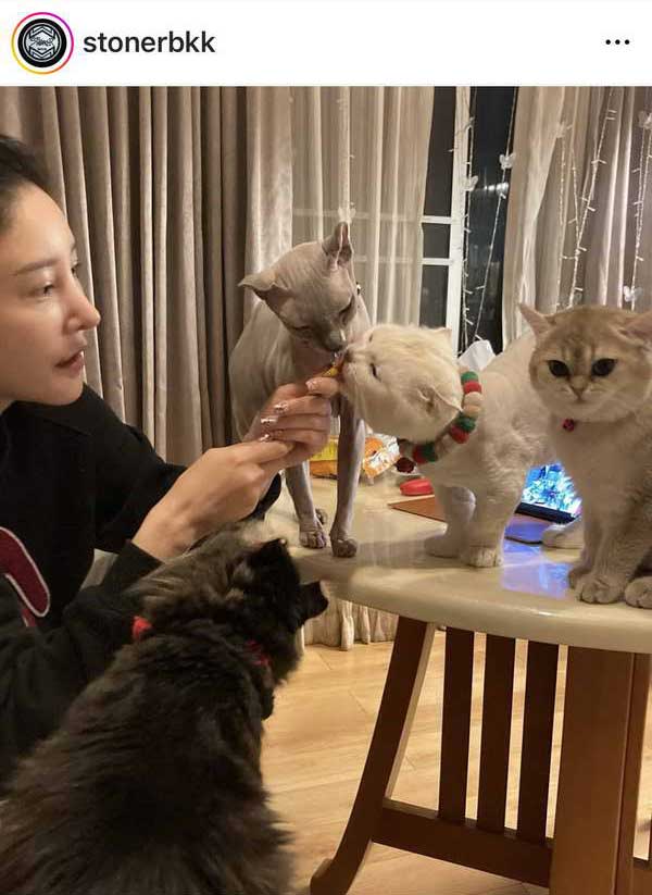 โพสต์ล่าสุด เบิร์ด เทคนิค ทำ ทาสแมว น้ำตาซึม! คิดถึง แตงโม นิดา โพสต์ล่าสุด เบิร์ด เทคนิค ทำ ทาสแมว น้ำตาซึม! คิดถึง แตงโม นิดา