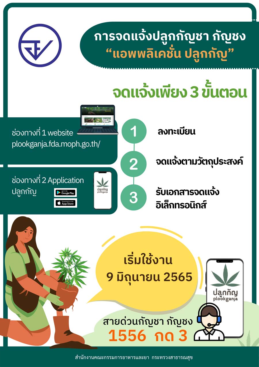 ลงทะเบียนปลูกกัญชา ล่าสุดปชช.จดแจ้งแล้ว 7.8 แสนคน