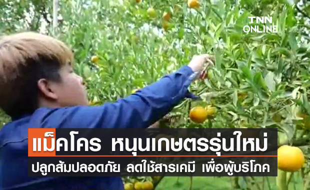 (คลิป) EP.6 แม็คโคร หนุนเกษตรรุ่นใหม่ ปลูกส้มปลอดภัย ลดใช้สารเคมี เพื่อผู้บริโภค