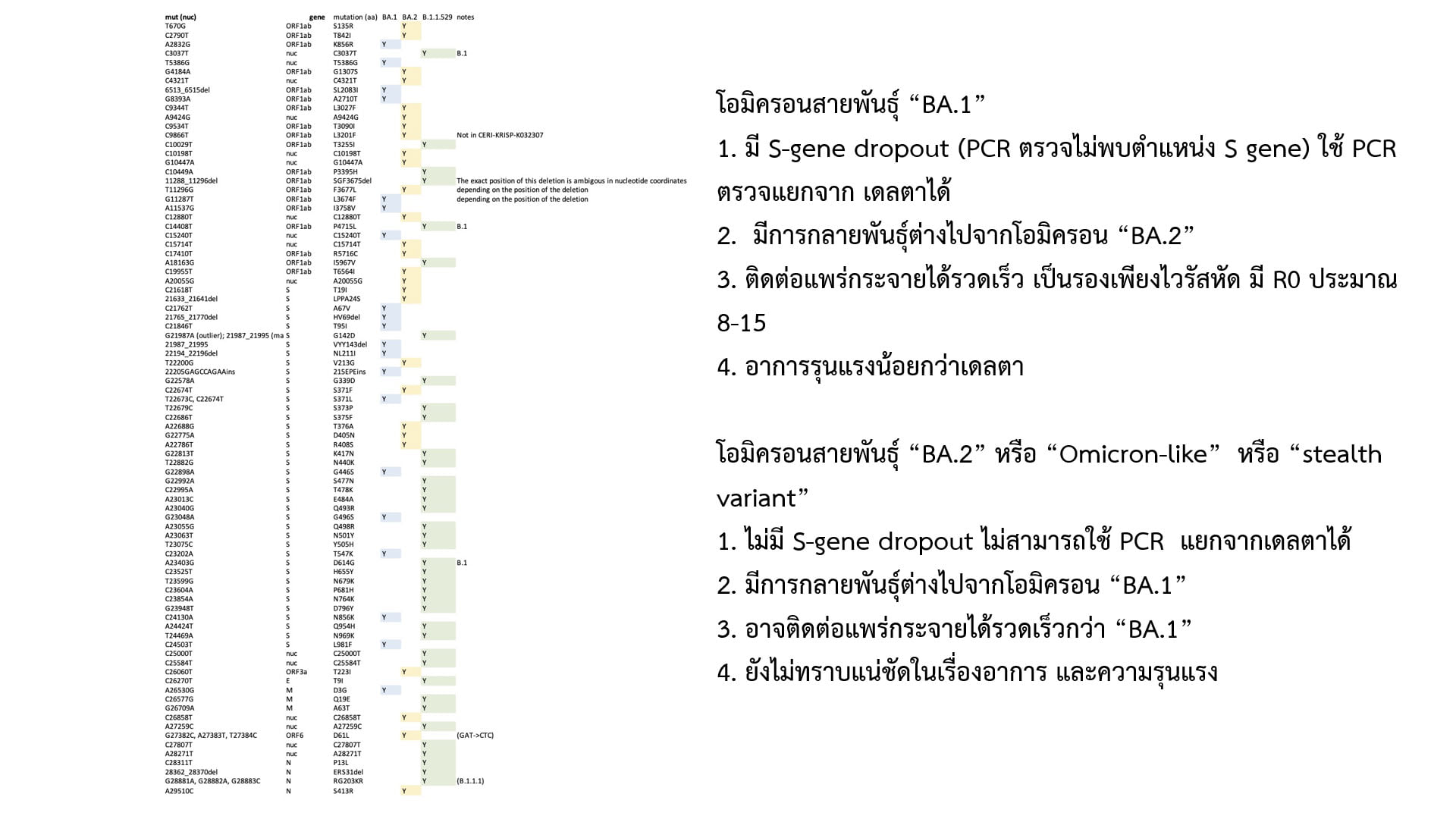 โอไมครอน BA.2 ศูนย์จีโนมฯเผยพบในไทยแค่ 2 รายกลายพันธุ์ 70-80 ตำแหน่ง