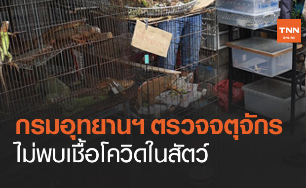 กรมอุทยานฯ โต้ไทยไม่ใช่แหล่งแพร่โควิด เผยผลตรวจสัตว์ในตลาดจตุจักรไม่พบเชื้อ