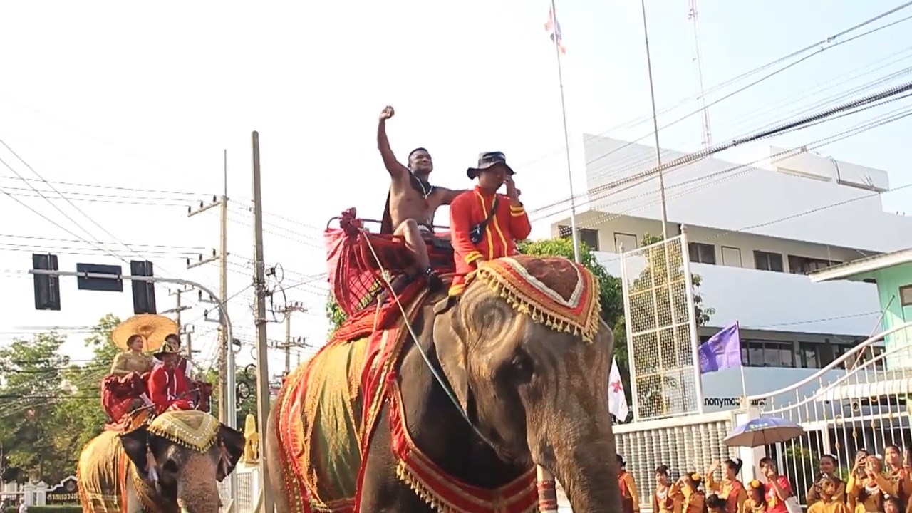 เริ่มแล้ว! “เทศกาลงานวันช้างไทย” ฉลองยิ่งใหญ่ 260 ปี เมืองสุรินทร์ เริ่มแล้ว! “เทศกาลงานวันช้างไทย” ฉลองยิ่งใหญ่ 260 ปี เมืองสุรินทร์