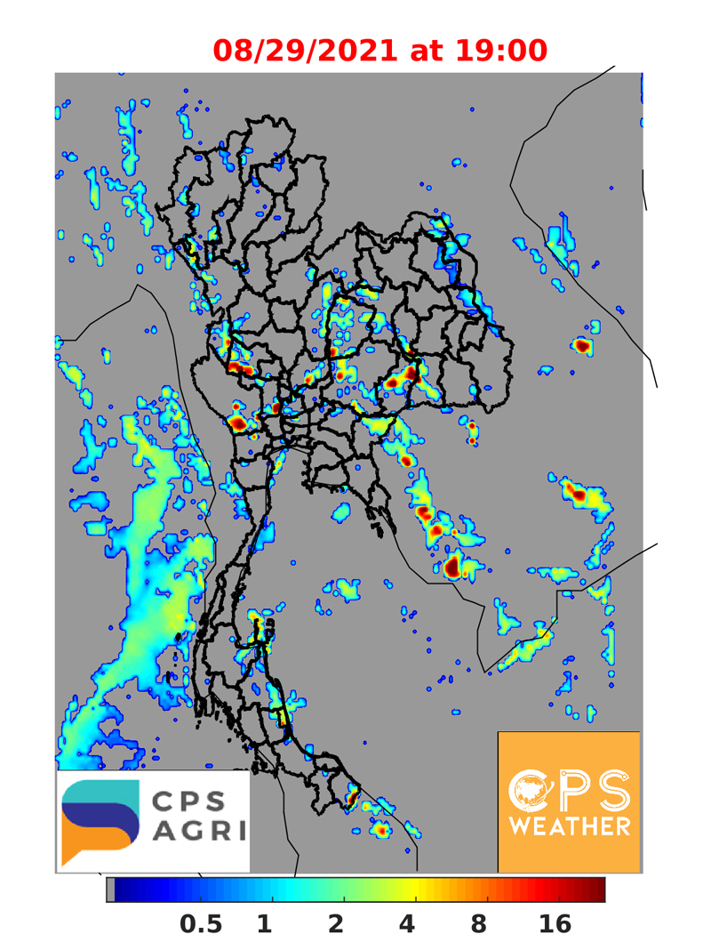 พยากรณ์ฝนวันนี้ พื้นที่ไหนชุ่มฉ่ำ ตกหนัก-เบา เช็กเลย!