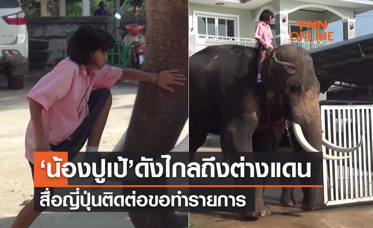 ‘น้องปูเป้’ ขี่ช้างไปเรียนดังไกลต่างแดน สื่อญี่ปุ่นติดต่อขอทำรายการ