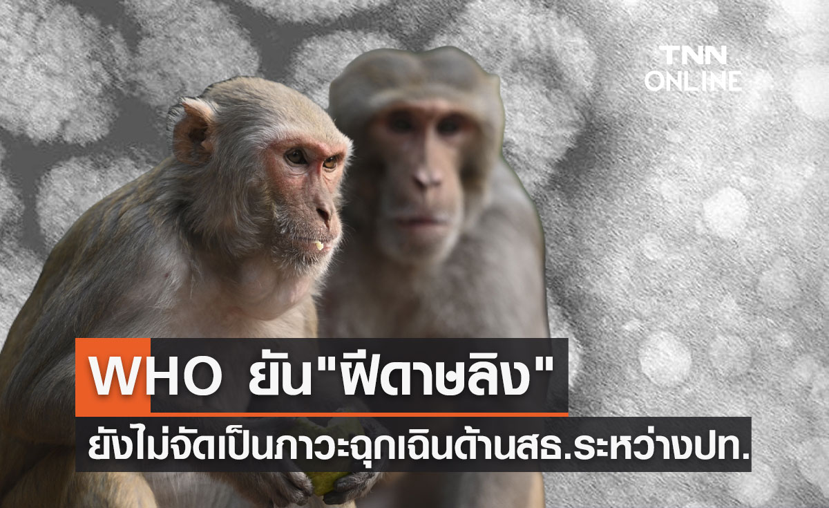 ฝีดาษลิง ยังไม่จัดเป็นภาวะฉุกเฉินด้านสาธารณสุขระหว่างประเทศ