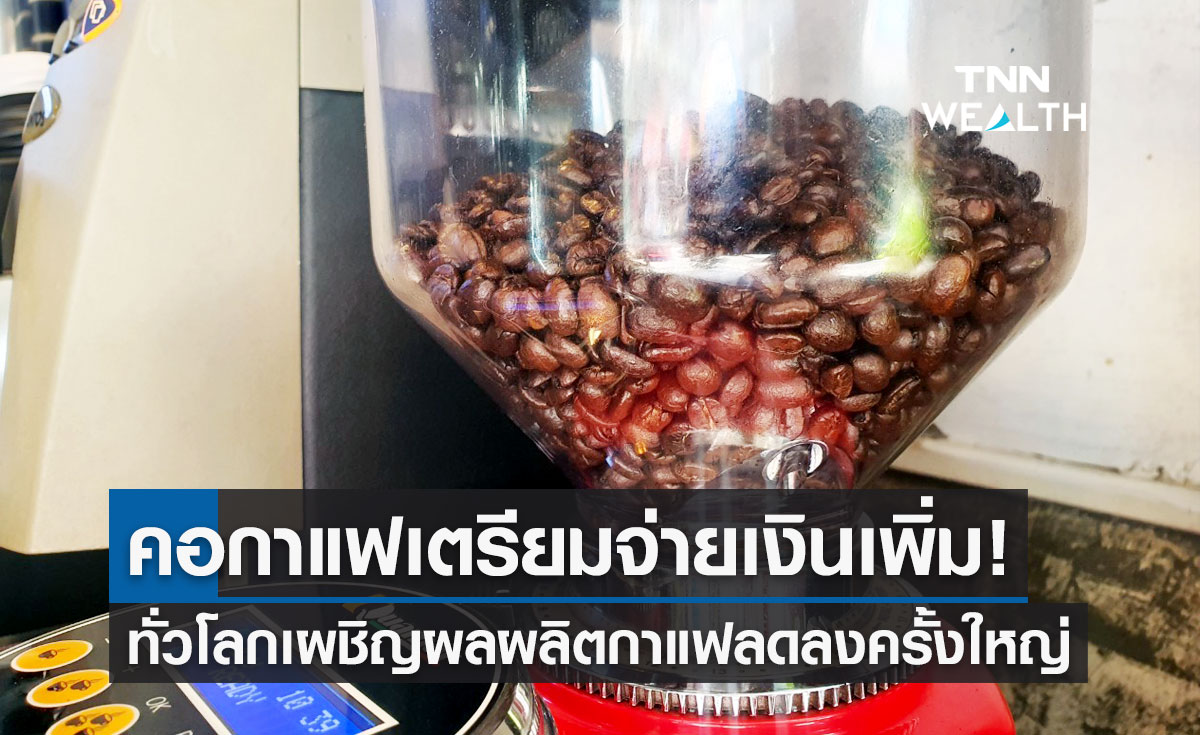 คอกาแฟเตรียมจ่ายเงินเพิ่ม หลังสต็อกในเวียดนามลดครึ่งหนึ่ง