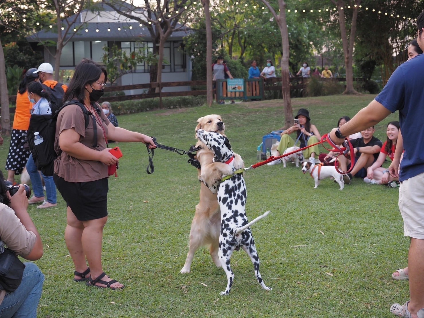 กทม. จับมือ เจอร์ไฮ-จินนี่ เปิด ‘Pet Park สวนรถไฟ’ พร้อมต้อนรับ ‘ฮีไร่ 4 ขา’ น้องหมาน้องแมว กทม. จับมือ เจอร์ไฮ-จินนี่ เปิด ‘Pet Park สวนรถไฟ’ พร้อมต้อนรับ ‘ฮีไร่ 4 ขา’ น้องหมาน้องแมว