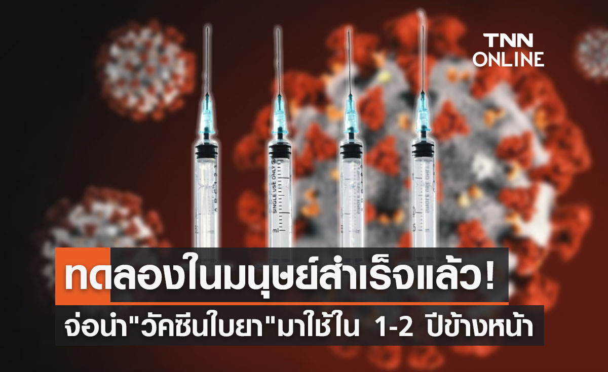 "วัคซีนใบยา" ทดลองในมนุษย์สำเร็จแล้ว เตรียมนำมาใช้ 1-2 ปีข้างหน้า!