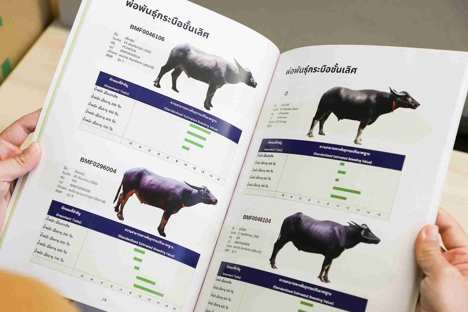 มูลนิธิเจริญโภคภัณฑ์ ร่วมกับมหาวิทยาลัยเกษตรศาสตร์ จัดทำหนังสือ “ความสามารถทางพันธุกรรมพ่อแม่พันธุ์กระบือ 2566 มูลนิธิเจริญโภคภัณฑ์ ร่วมกับมหาวิทยาลัยเกษตรศาสตร์ จัดทำหนังสือ “ความสามารถทางพันธุกรรมพ่อแม่พันธุ์กระบือ 2566