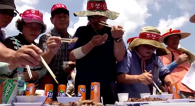 ประธานาธิบดีเกาหลีใต้เตรียมแบนการรับประทานเนื้อสุนัข ประธานาธิบดีเกาหลีใต้เตรียมแบนการรับประทานเนื้อสุนัข