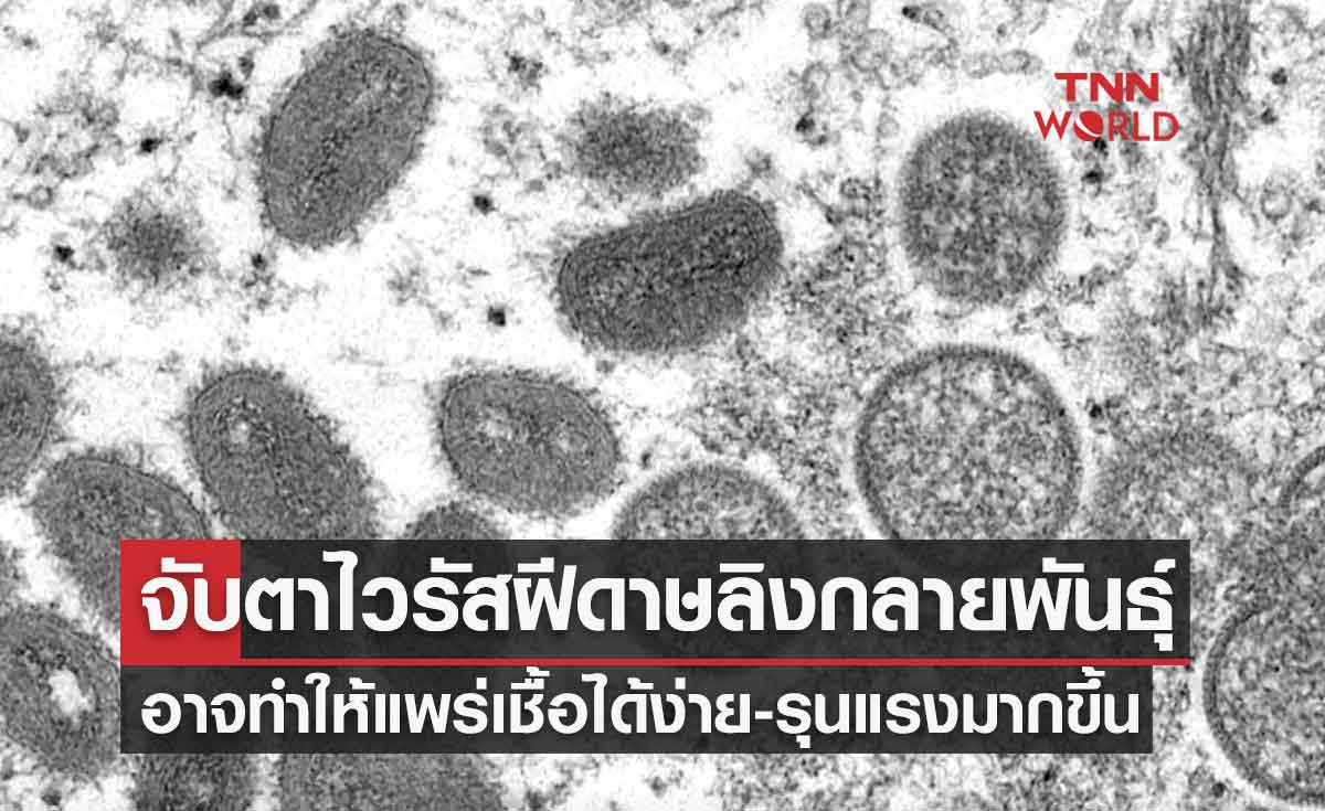 จับตาไวรัส ฝีดาษลิง กลายพันธุ์ อาจทำให้แพร่เชื้อได้ง่ายและรุนแรงมากขึ้น