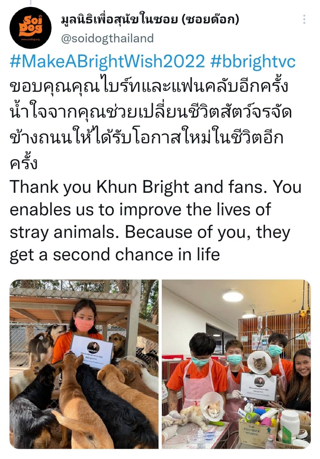 ไบร์ท วชิรวิชญ์ และแฟนคลับ บริจาค1ล้านช่วยสุนัขและแมวจรจัด