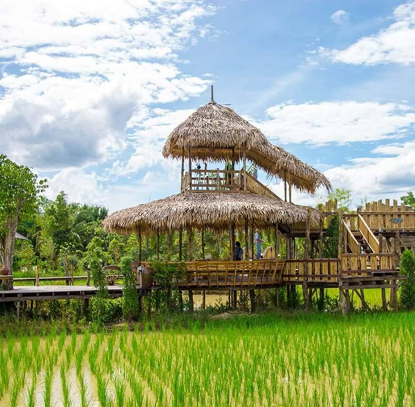 10 ที่เที่ยวพัทลุง 2565 เมืองมโนราห์ ถิ่นวัฒนธรรมเก่าแก่ 10 ที่เที่ยวพัทลุง 2565 เมืองมโนราห์ ถิ่นวัฒนธรรมเก่าแก่