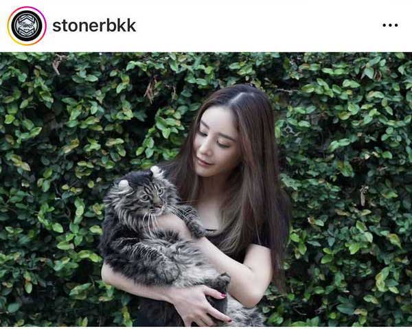 โพสต์ล่าสุด เบิร์ด เทคนิค ทำ ทาสแมว น้ำตาซึม! คิดถึง แตงโม นิดา โพสต์ล่าสุด เบิร์ด เทคนิค ทำ ทาสแมว น้ำตาซึม! คิดถึง แตงโม นิดา