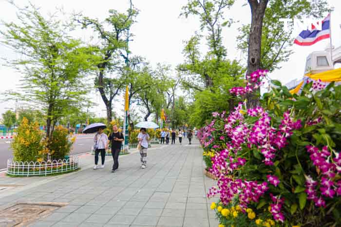 ประดับดอกไม้ เติมสีสันบนถนนประวัติศาสตร์ เฉลิมพระเกียรติในโอกาสพระราชพิธีมหามงคลวันเฉลิมพระชนมพรรษา 2567 ประดับดอกไม้ เติมสีสันบนถนนประวัติศาสตร์ เฉลิมพระเกียรติในโอกาสพระราชพิธีมหามงคลวันเฉลิมพระชนมพรรษา 2567