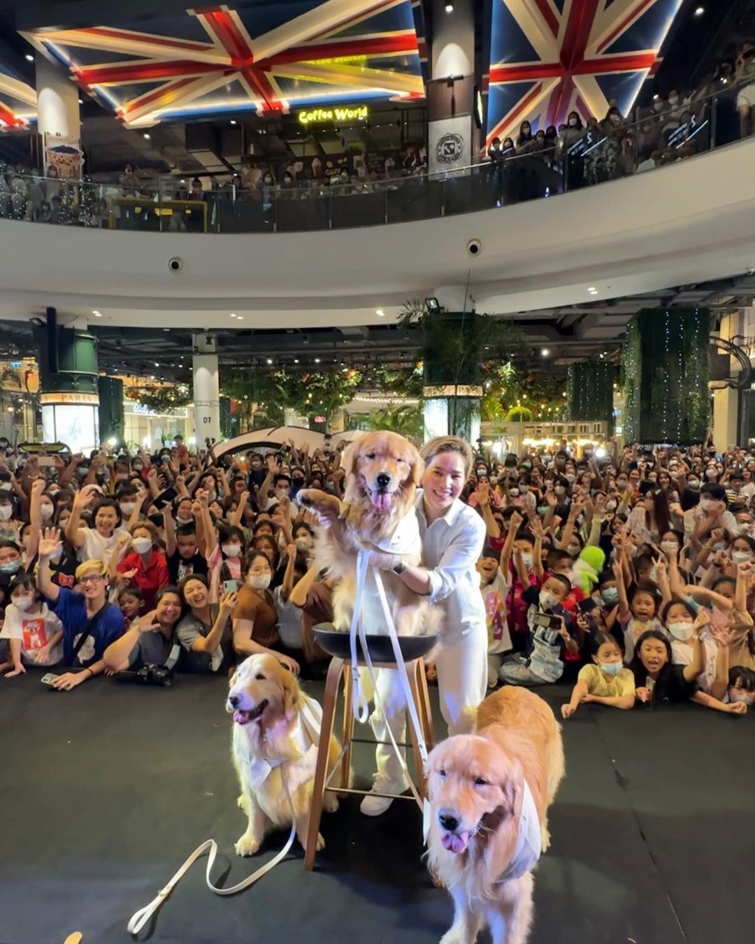 15ปีในวงการยังไม่ได้ขนาดนี้ แกรนด์ กรณ์ภัสสร อิจฉาเซเลบ TIKTOK จุ๊มเหม่ง คนรุมถ่ายรูป