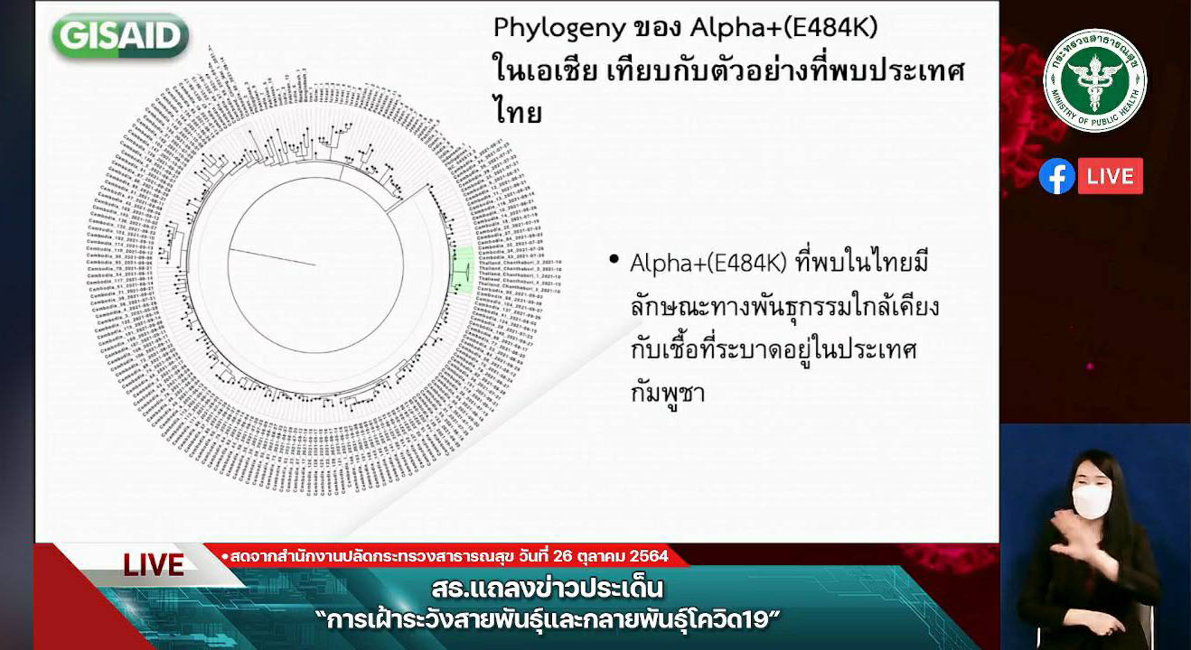 กรมวิทย์ฯ ยัน เดลต้าพลัส AY.1 ยังไม่พบความรุนแรงของโรคหรือส่งผลต่อวัคซีนโควิด กรมวิทย์ฯ ยัน เดลต้าพลัส AY.1 ยังไม่พบความรุนแรงของโรคหรือส่งผลต่อวัคซีนโควิด