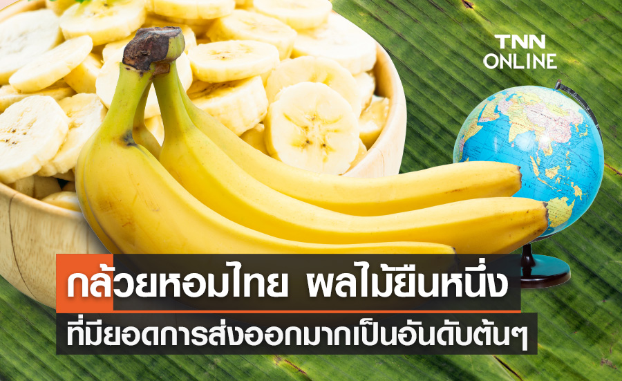 กล้วยหอมไทย ผลไม้ยืนหนึ่ง ราคาสูง ผลไม้เศรษฐกิจที่สำคัญที่มียอดการส่งออกมากเป็นอันดับต้นๆ