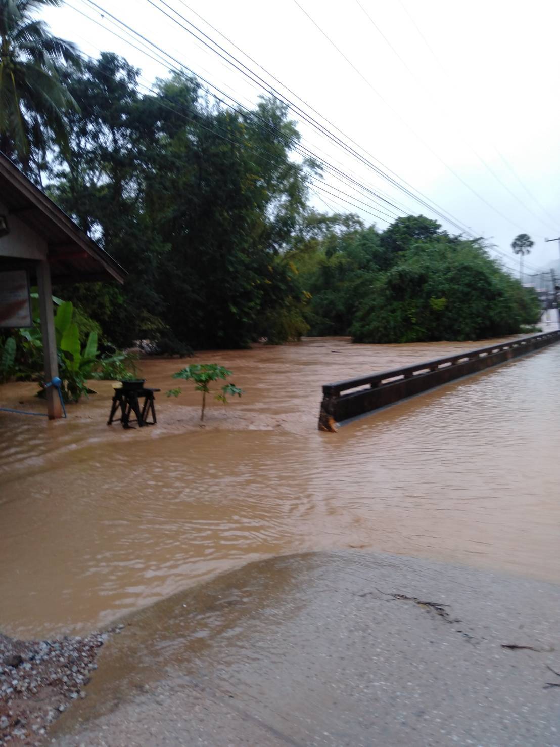 เลยฝนตกหนัก! น้ำป่าขุนภูซาง หลากท่วมอำเภอปากชม เลยฝนตกหนัก! น้ำป่าขุนภูซาง หลากท่วมอำเภอปากชม
