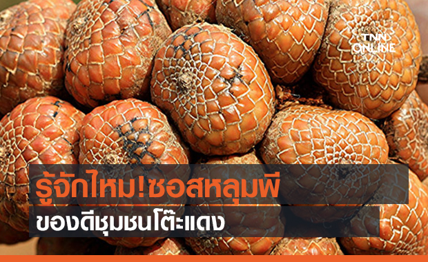 รู้จักไหม!ซอสหลุมพี ของดีชุมชนโต๊ะแดง (คลิป) 