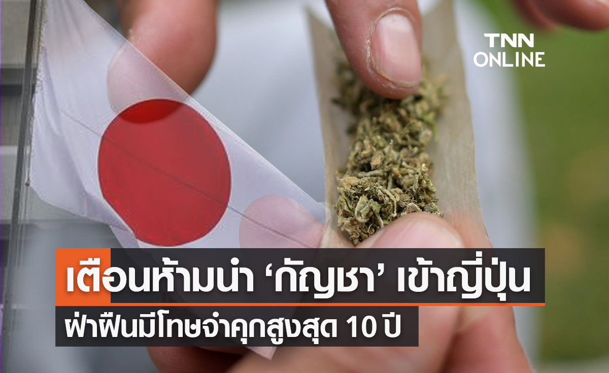 "กัญชา-กัญชง" ห้ามนำเข้าประเทศญี่ปุ่น ฝ่าฝืนมีโทษจำคุกสูงสุด 10 ปี