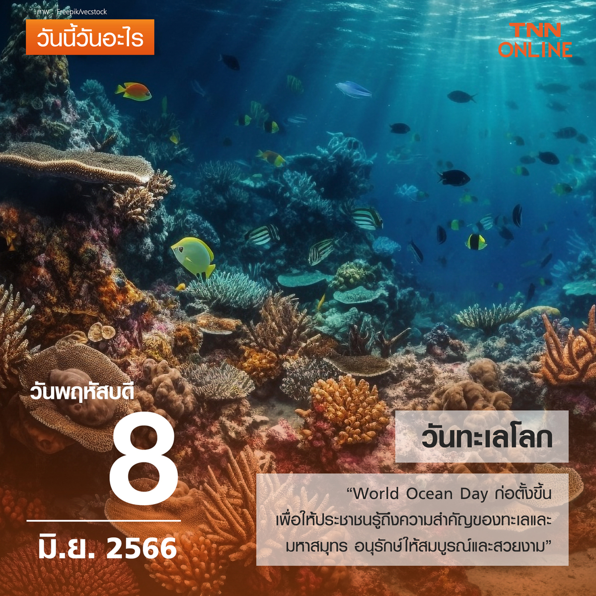 วันนี้วันอะไร วันทะเลโลก ตรงกับวันที่ 8 มิถุนายน