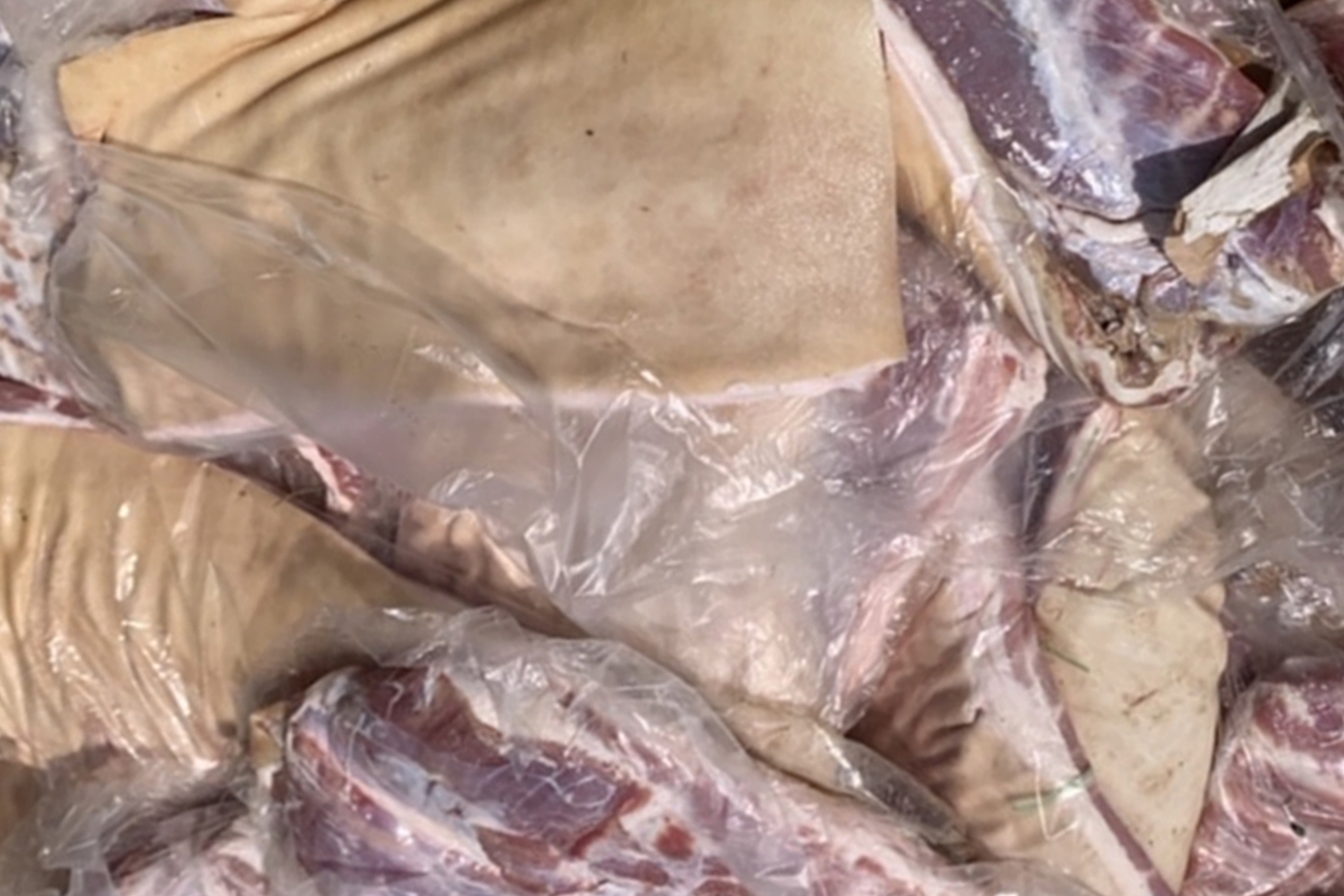 ภาระกิจเร่งด่วนภาครัฐ “ตอน” หมูเถื่อน ก่อนเกษตรกรถอดใจเลิกเลี้ยง ภาระกิจเร่งด่วนภาครัฐ “ตอน” หมูเถื่อน ก่อนเกษตรกรถอดใจเลิกเลี้ยง