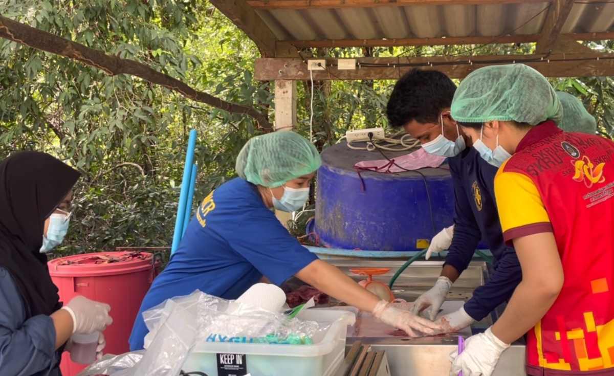 ผ่าพิสูจน์พะยูนตาย 2 ตัว จากทะเลตรังและทะเลกระบี่ ผ่าพิสูจน์พะยูนตาย 2 ตัว จากทะเลตรังและทะเลกระบี่