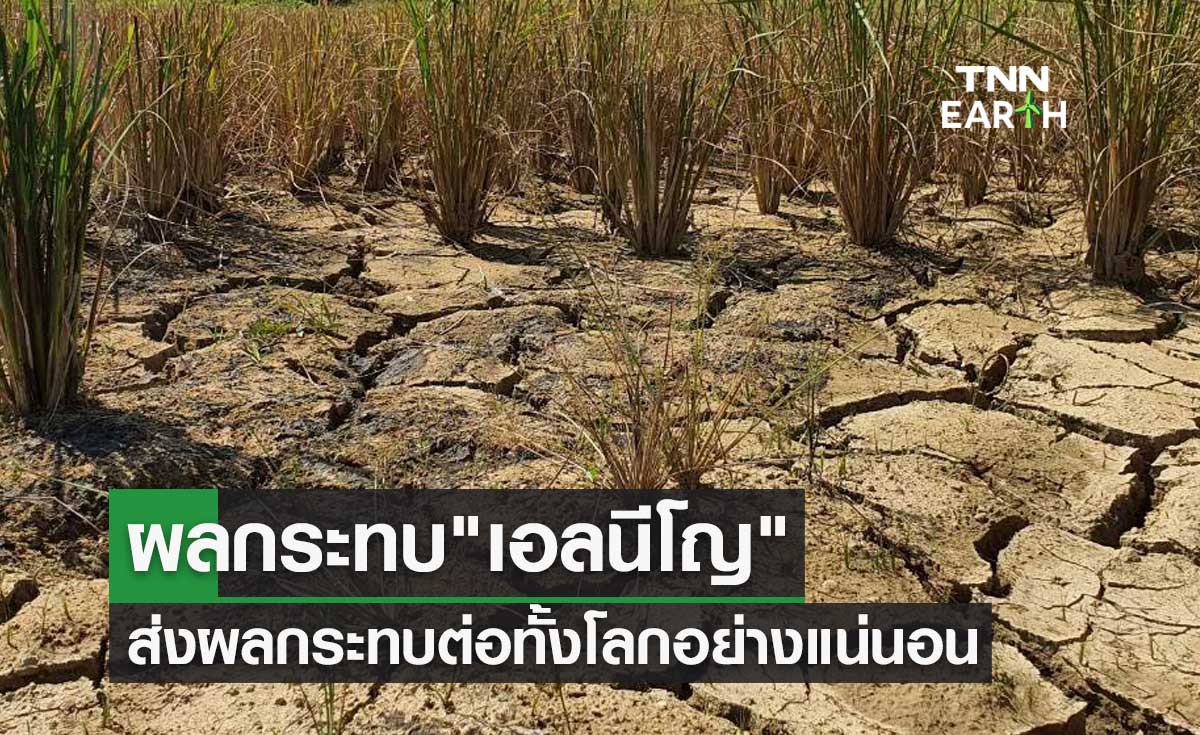 ผลกระทบ "เอลนีโญ" ที่ก่อตัวส่งผลกระทบต่อทั้งโลกอย่างแน่นอน