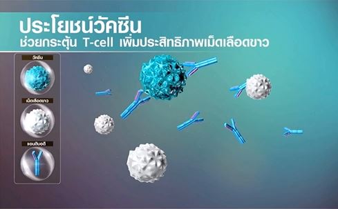 เปิดประสิทธิภาพวัคซีนโควิด ซิโนแวค 