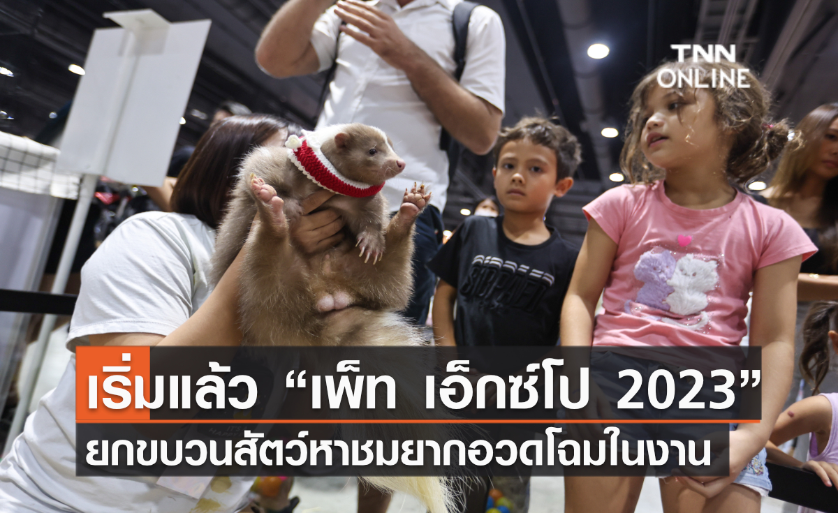 เริ่มแล้ว “เพ็ท เอ็กซ์โป 2023” ยกขบวนสัตว์หาชมยากอวดโฉมในงาน เริ่มแล้ว “เพ็ท เอ็กซ์โป 2023” ยกขบวนสัตว์หาชมยากอวดโฉมในงาน