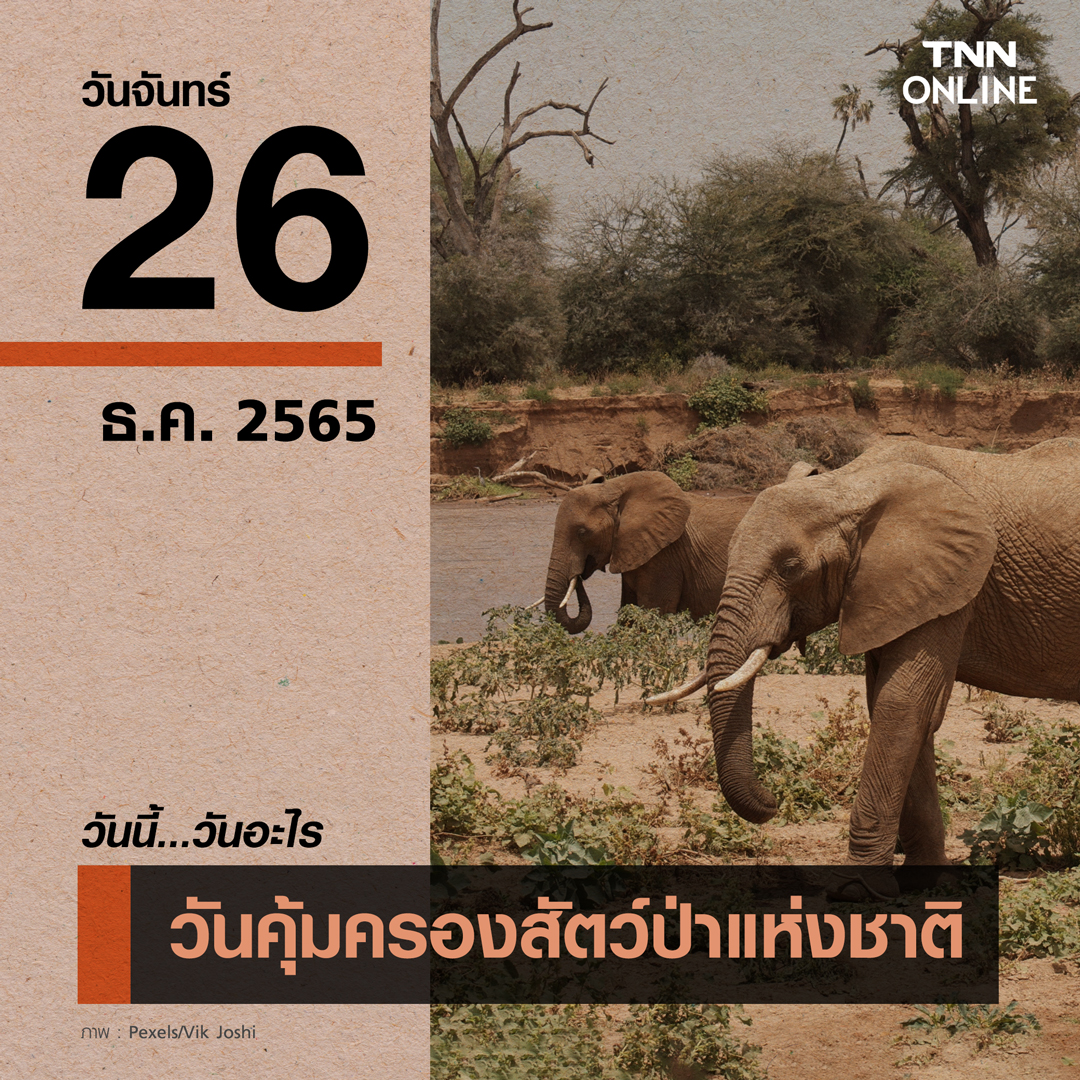 วันนี้วันอะไร 26 ธันวาคม ตรงกับ “วันคุ้มครองสัตว์ป่าแห่งชาติ” วันนี้วันอะไร 26 ธันวาคม ตรงกับ “วันคุ้มครองสัตว์ป่าแห่งชาติ”