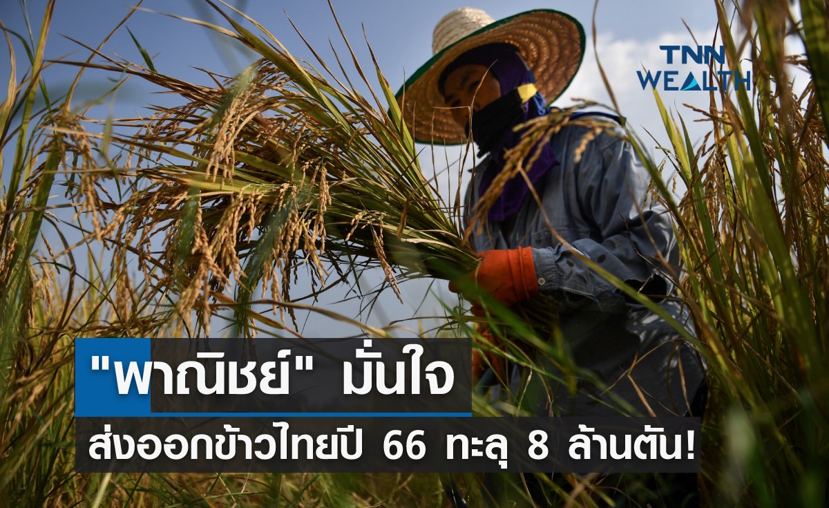 "พาณิชย์" มั่นใจ ส่งออกข้าวไทยปี 66 ทะลุ 8 ล้านตัน!