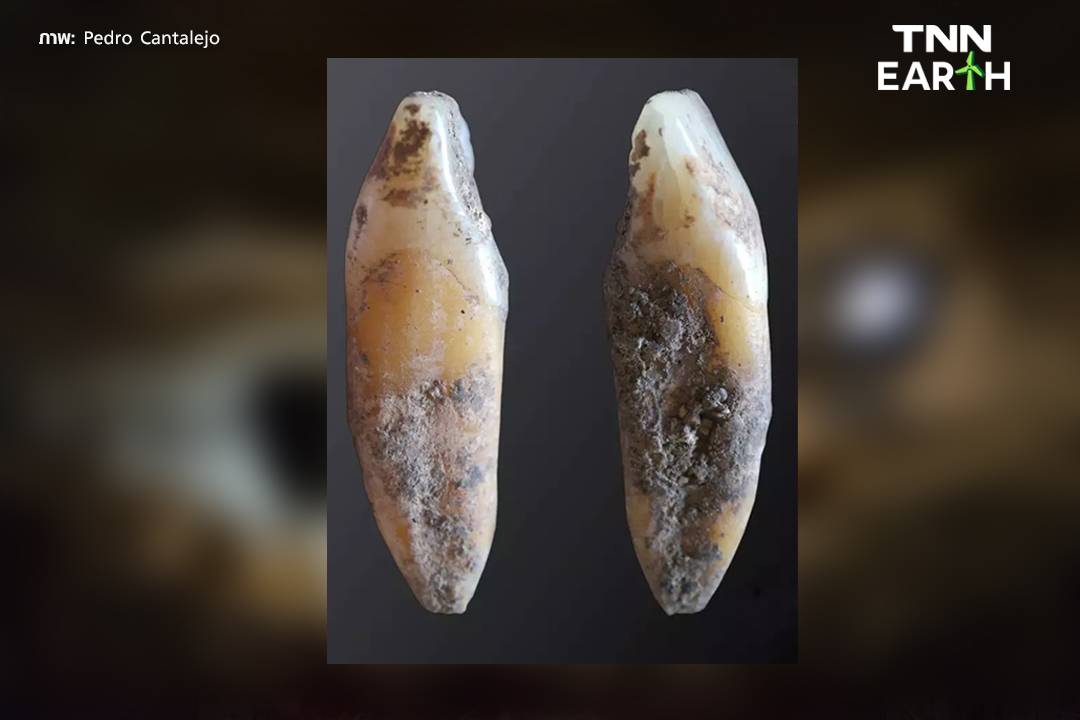 พบ จีโนมมนุษย์ เก่าแก่ที่สุด 23,000 ปี ทางตอนใต้ของเปน