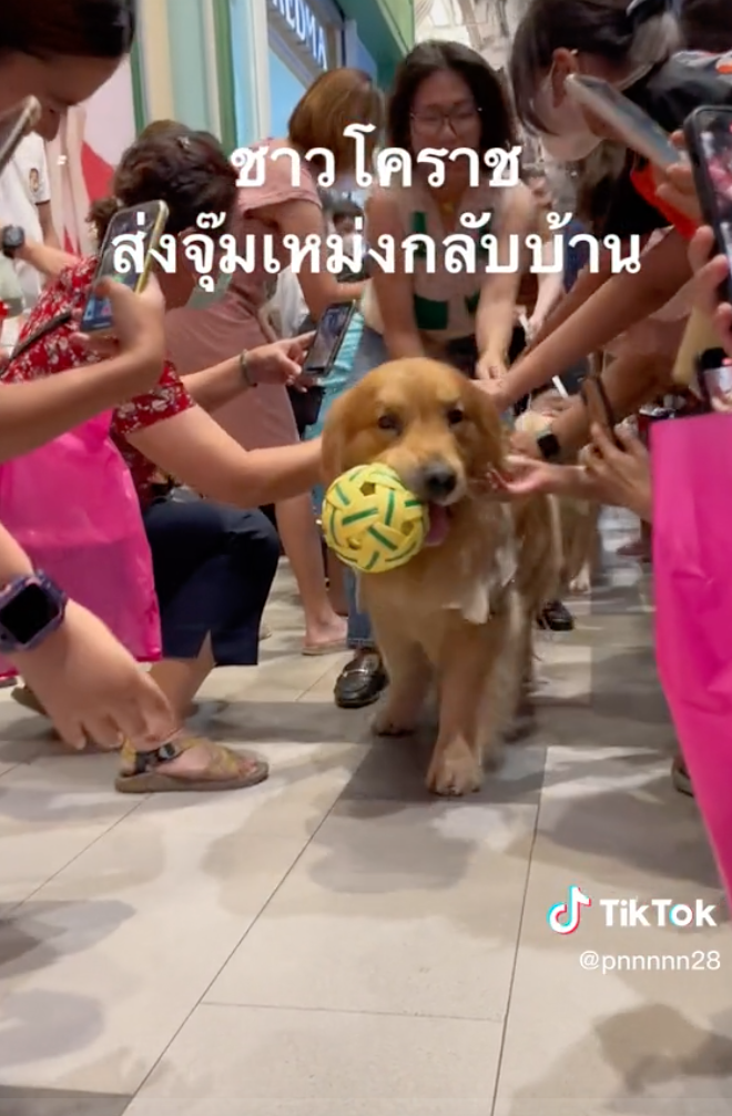 นึกว่าซุปตาร์! ชาวโคราชตั้งแถวส่ง “จุ๊มเหม่งมีอะไร” ห้างแทบแตก นึกว่าซุปตาร์! ชาวโคราชตั้งแถวส่ง “จุ๊มเหม่งมีอะไร” ห้างแทบแตก