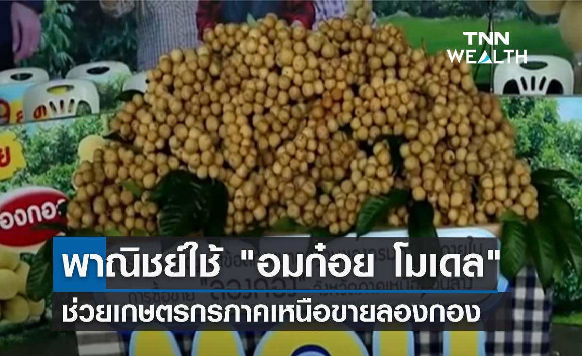 พาณิชย์ใช้ "อมก๋อย โมเดล" ช่วยเกษตรกรภาคเหนือขายลองกอง