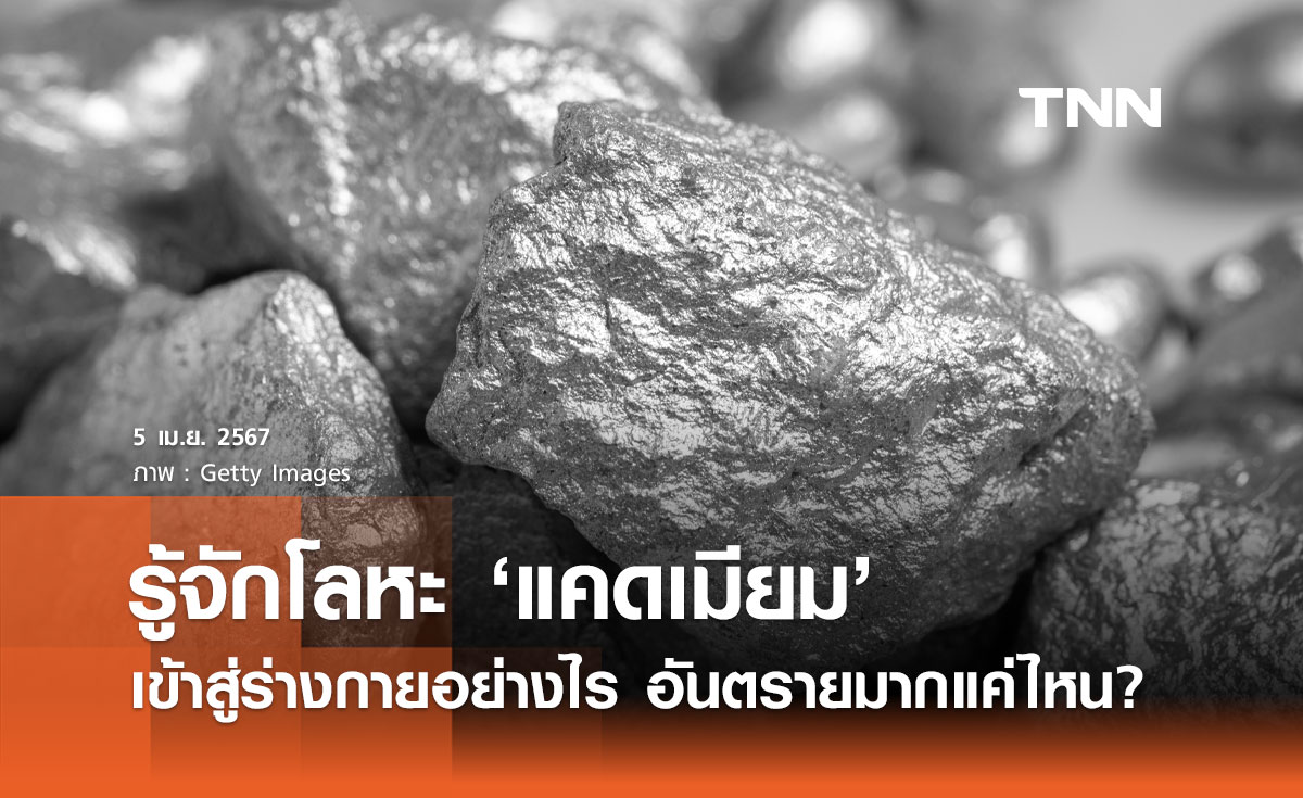 แคดเมียม คืออะไร? รู้จักโลหะอันตราย ส่งผลอย่างไรต่อร่างกาย