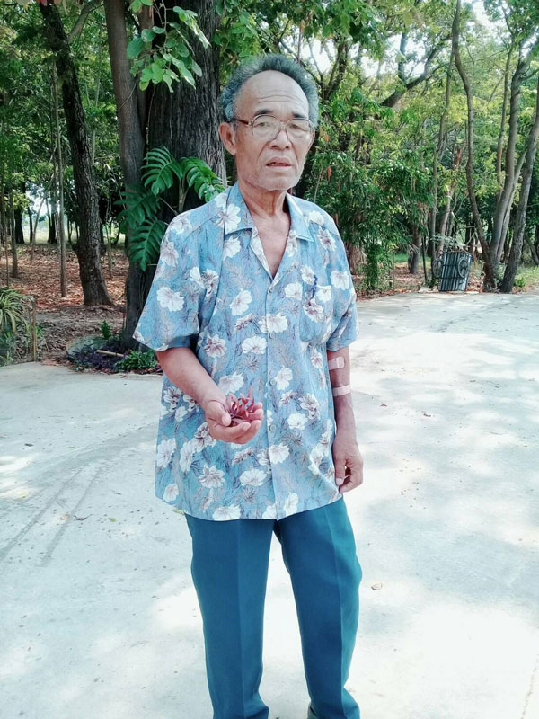 รู้จัก ดาบวิชัย ร.ต.ต.วิชัย สุริยุทธ คนบ้าปลูกต้นไม้ ล่าสุดเสียชีวิตแล้ว รู้จัก ดาบวิชัย ร.ต.ต.วิชัย สุริยุทธ คนบ้าปลูกต้นไม้ ล่าสุดเสียชีวิตแล้ว