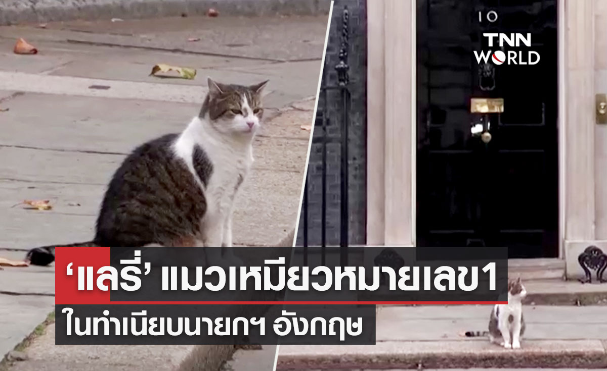 รู้จัก "แลรี่" แมวเหมียวหมายเลข 1 ในทำเนียบนายกฯ อังกฤษ