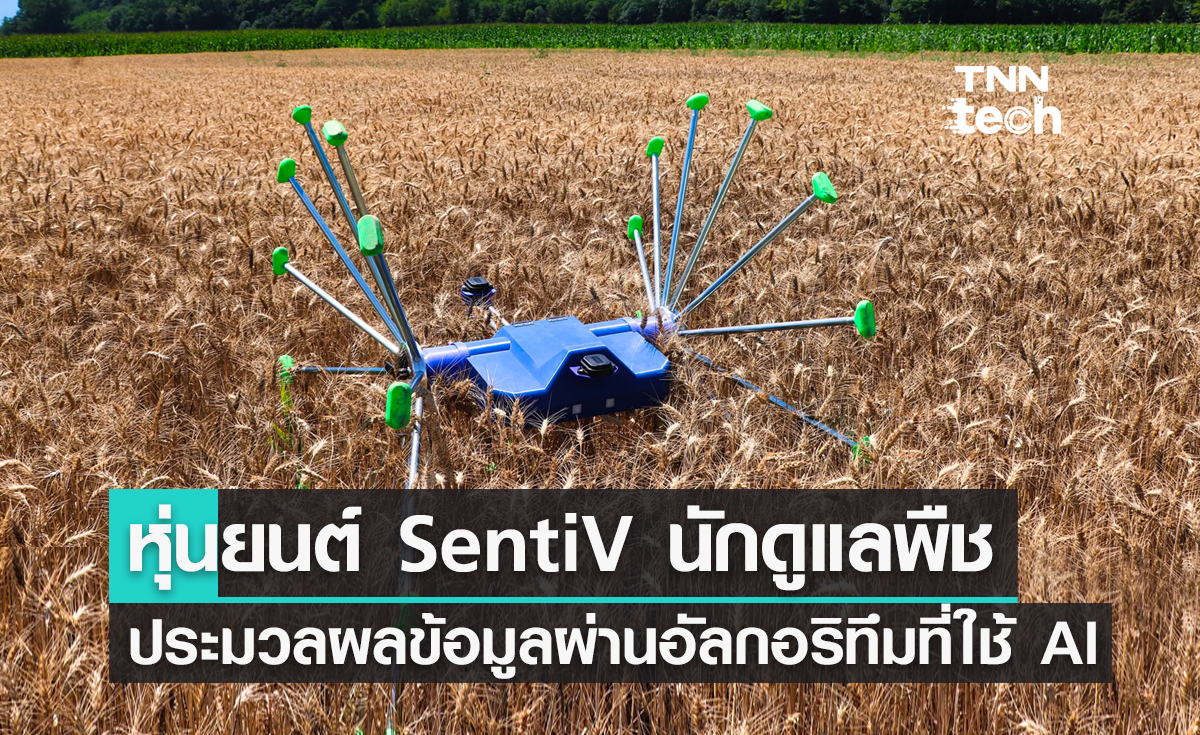 หุ่นยนต์ SentiV นักดูแลพืชประมวลผลข้อมูลผ่านอัลกอริทึมที่ใช้ AI