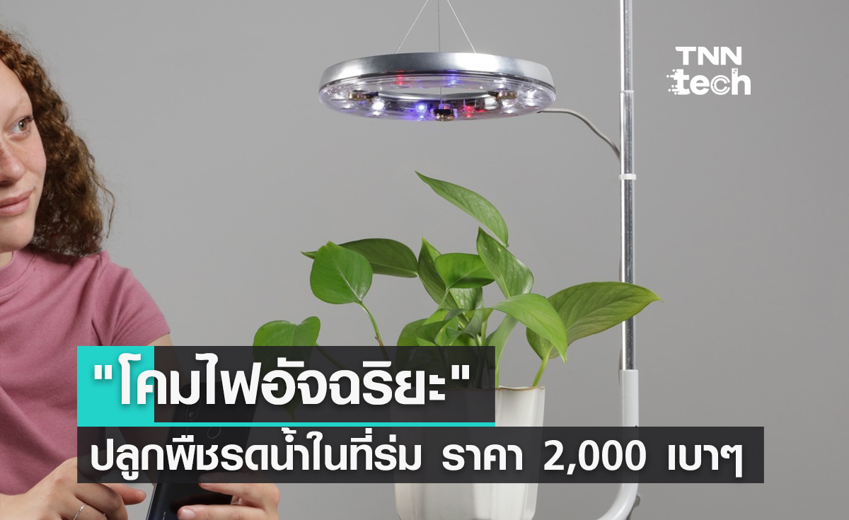 โคมไฟอัจฉริยะ ปลูกพืชรดน้ำในที่ร่มได้ 360 องศา ราคาเบาๆ เพียง 2,000 บาท