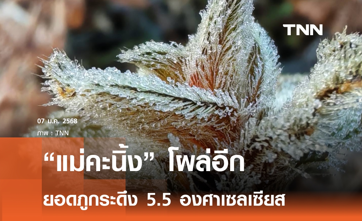 ยอดภูกระดึง "แม่คะนิ้ง" โผล่ติดต่อ 3 วัน 