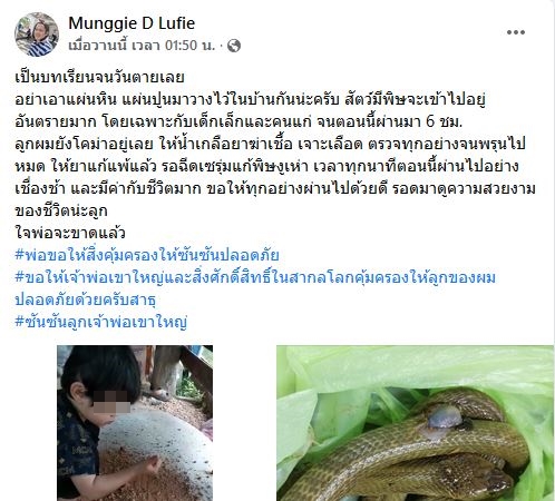 อุทาหรณ์! หนูน้อยถูก งูเห่า กัดอาการโคม่า ผ่านไป 26 ชม.นิ้วเริ่มกระดิกได้